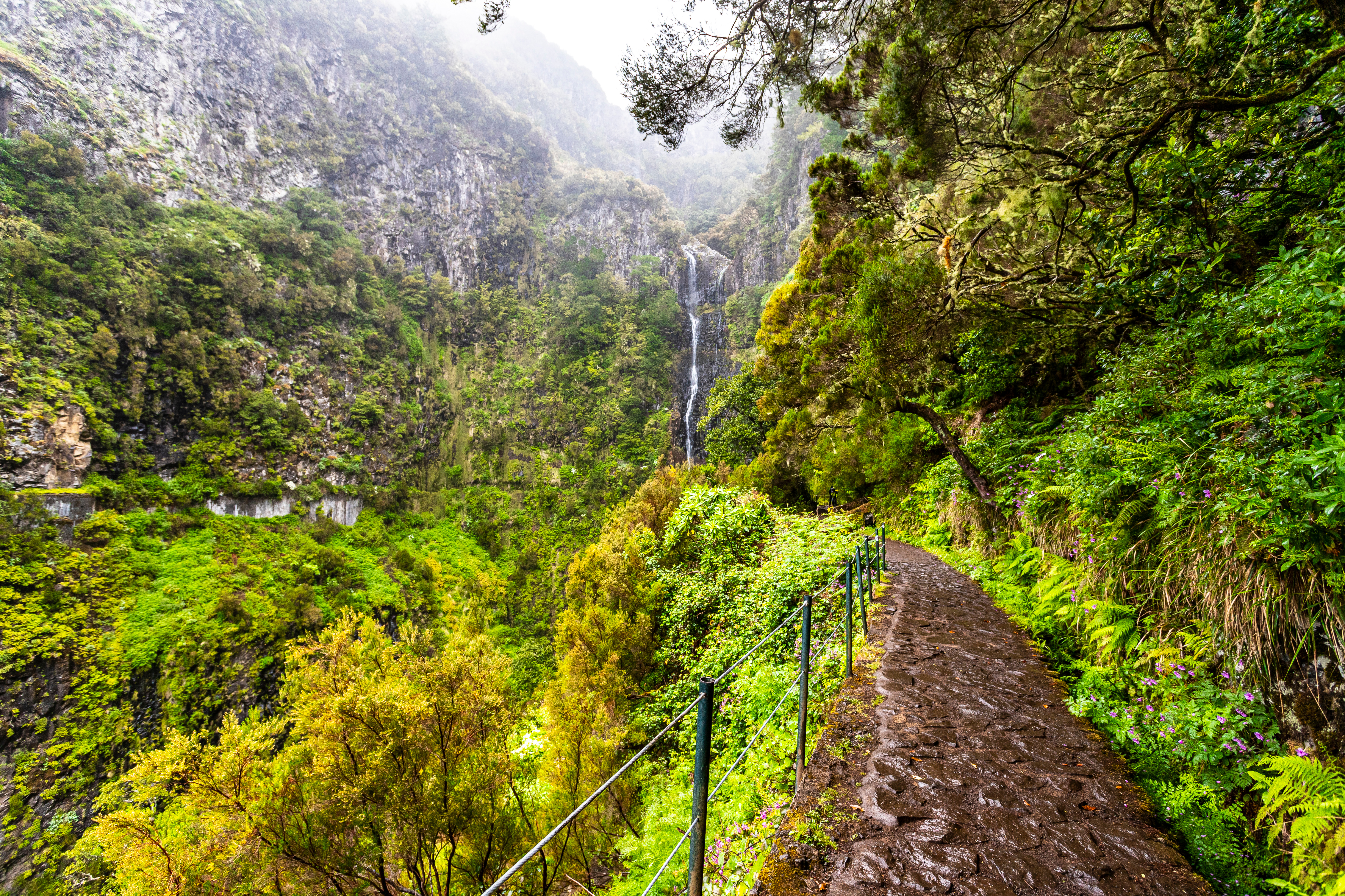 Levada vandring