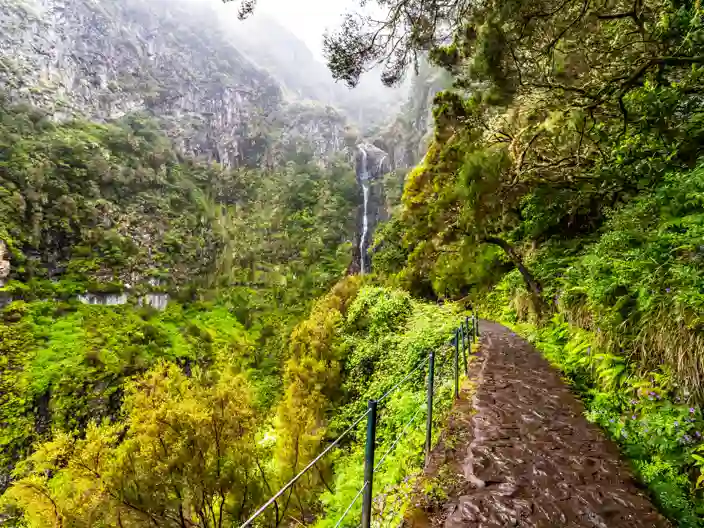 Levada vandring