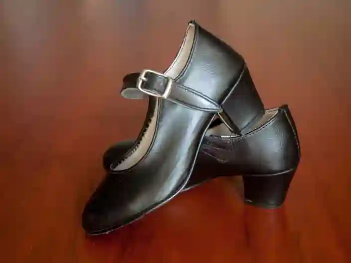 Traditionelle flamencosko