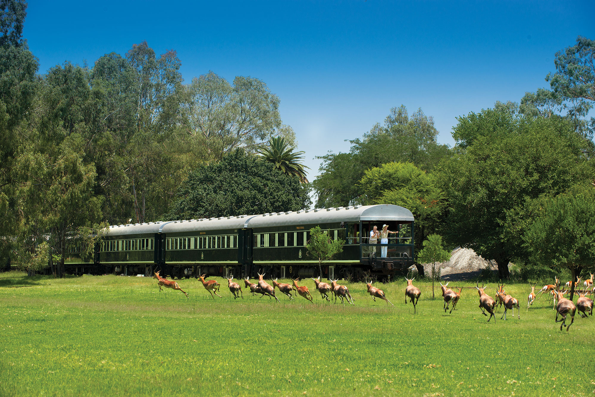 Balkong bakerst på Rovos Rail