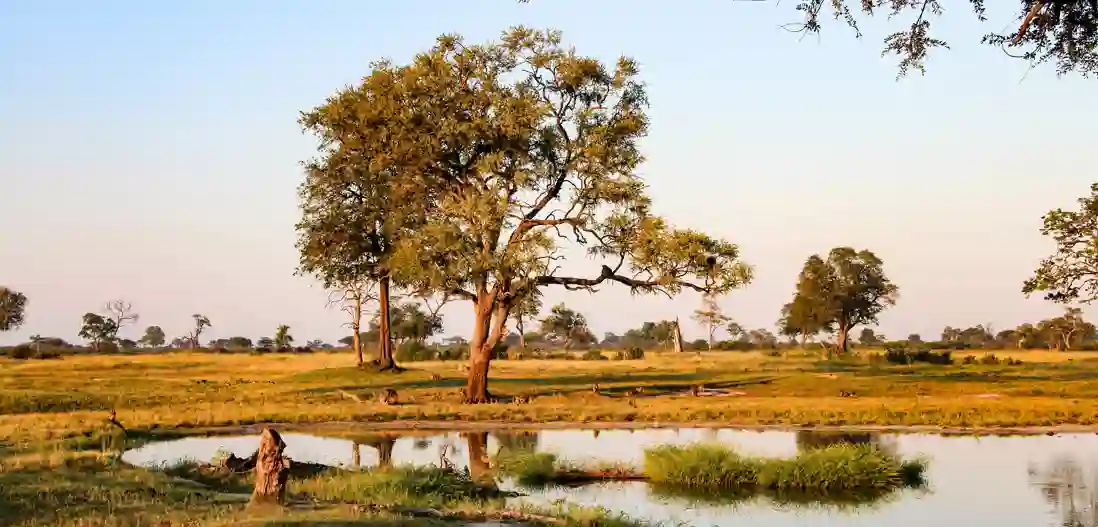 Hwange Nationalpark