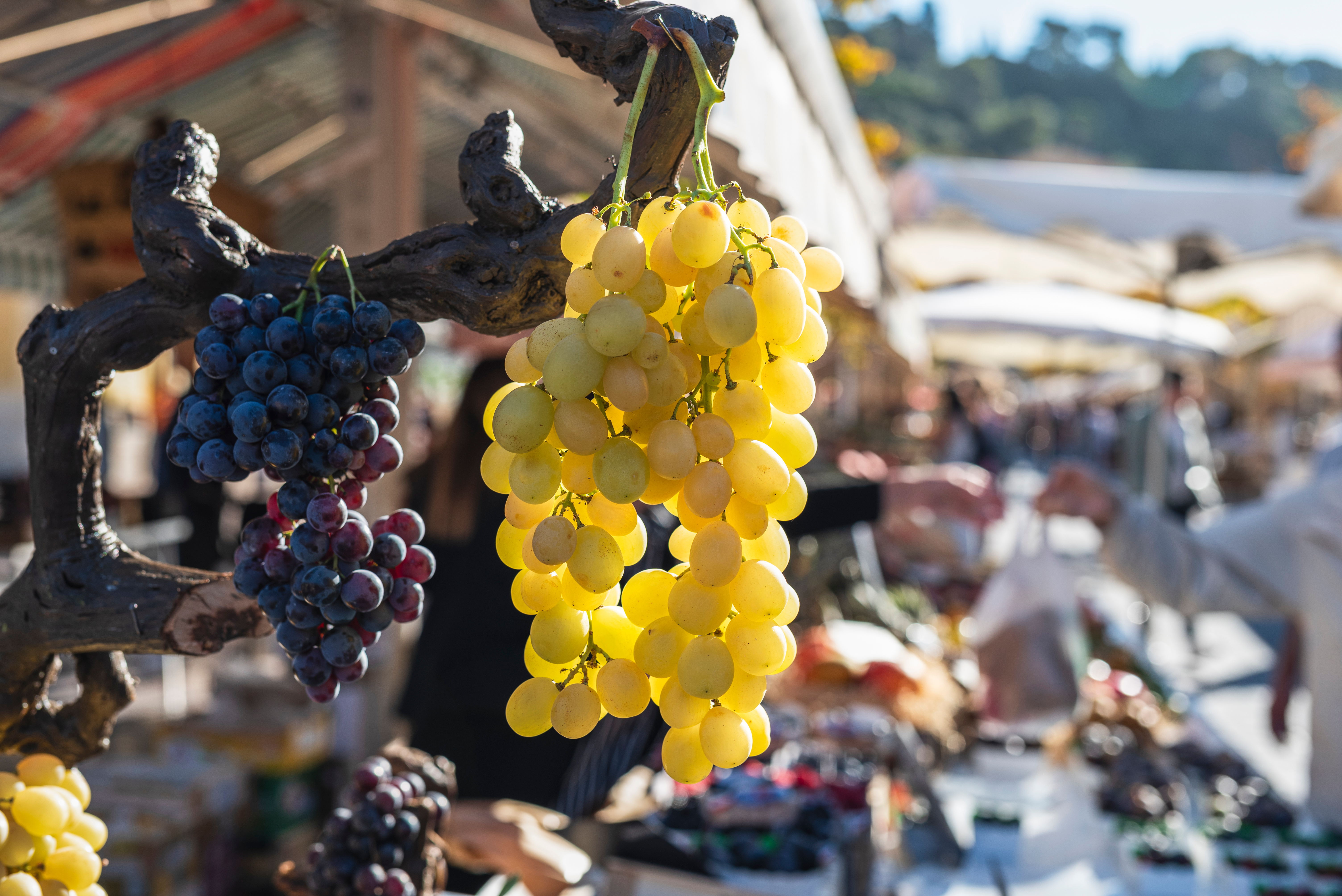 Markedet Cours Saleya i Nice