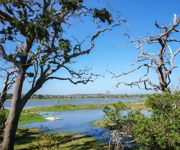 Yala nasjonalpark