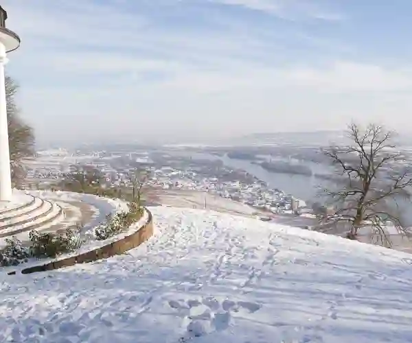 Vinter i Rüdesheim