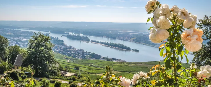 Rüdesheim