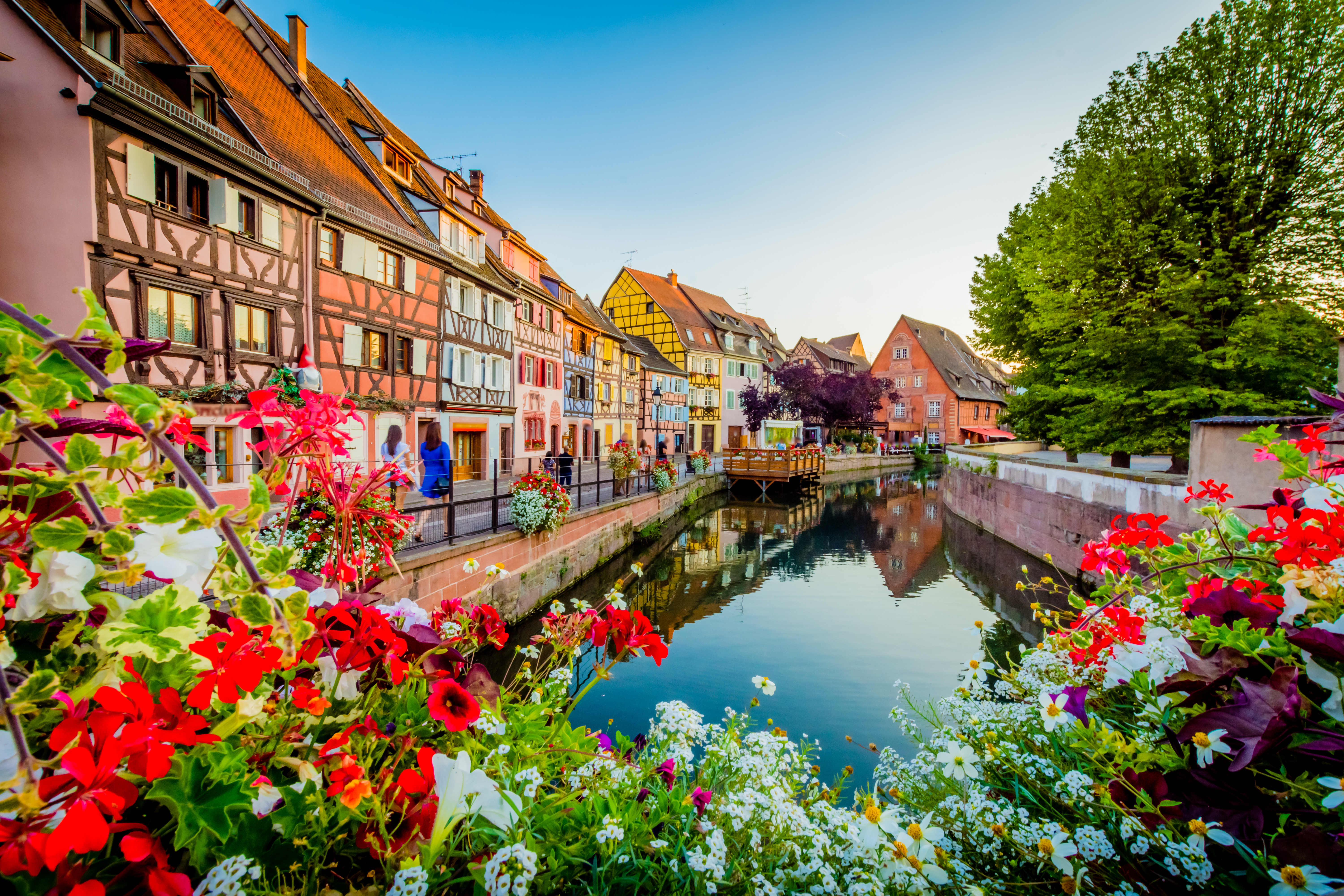 Colmar