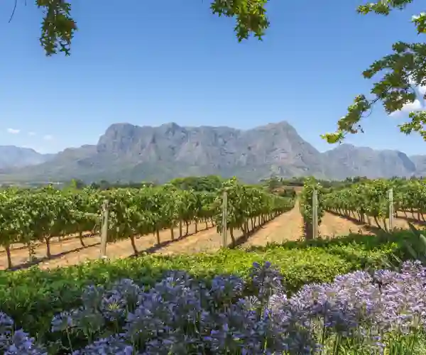 Winelands