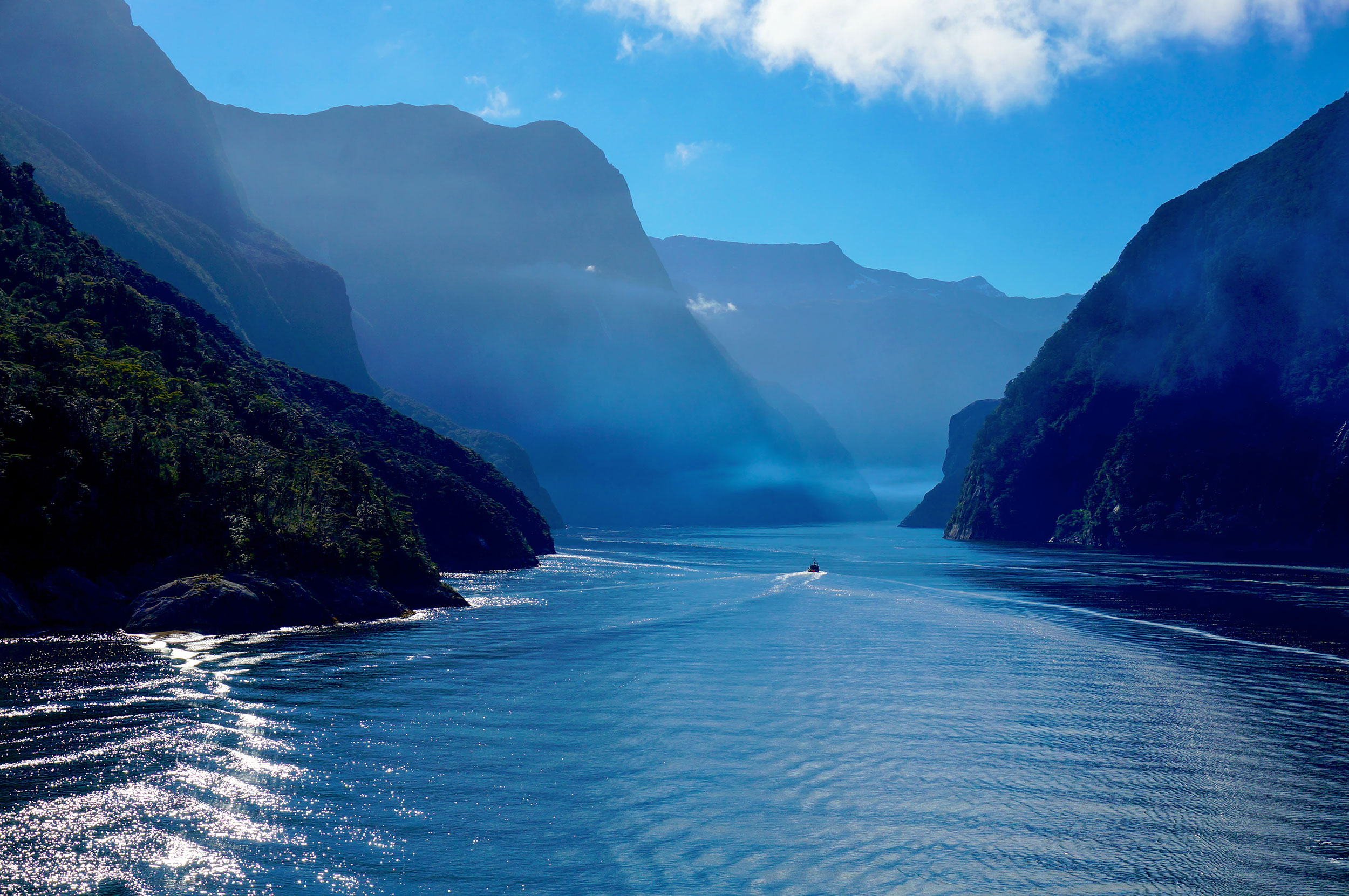 Morgenstemning på Milford Sound