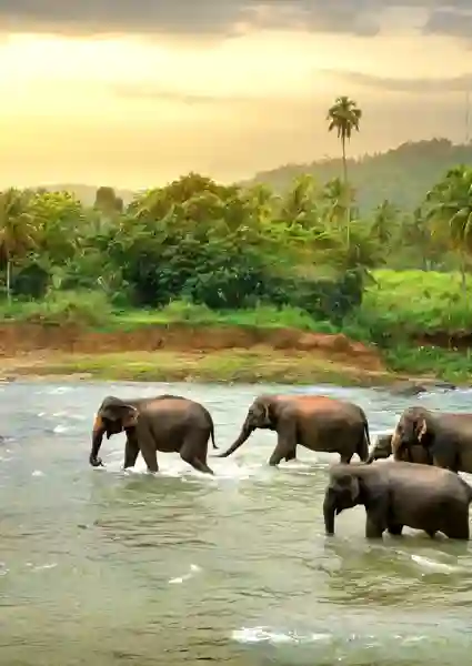 Sri Lanka