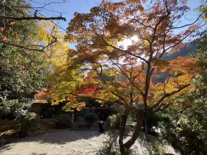 Kyoto i høstfarger