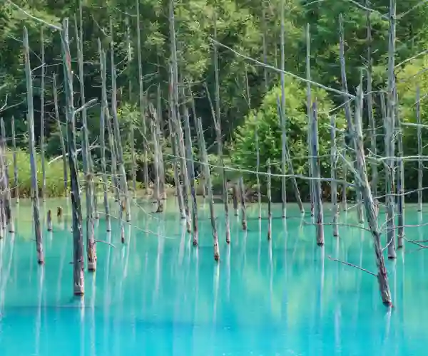 Blue Pond