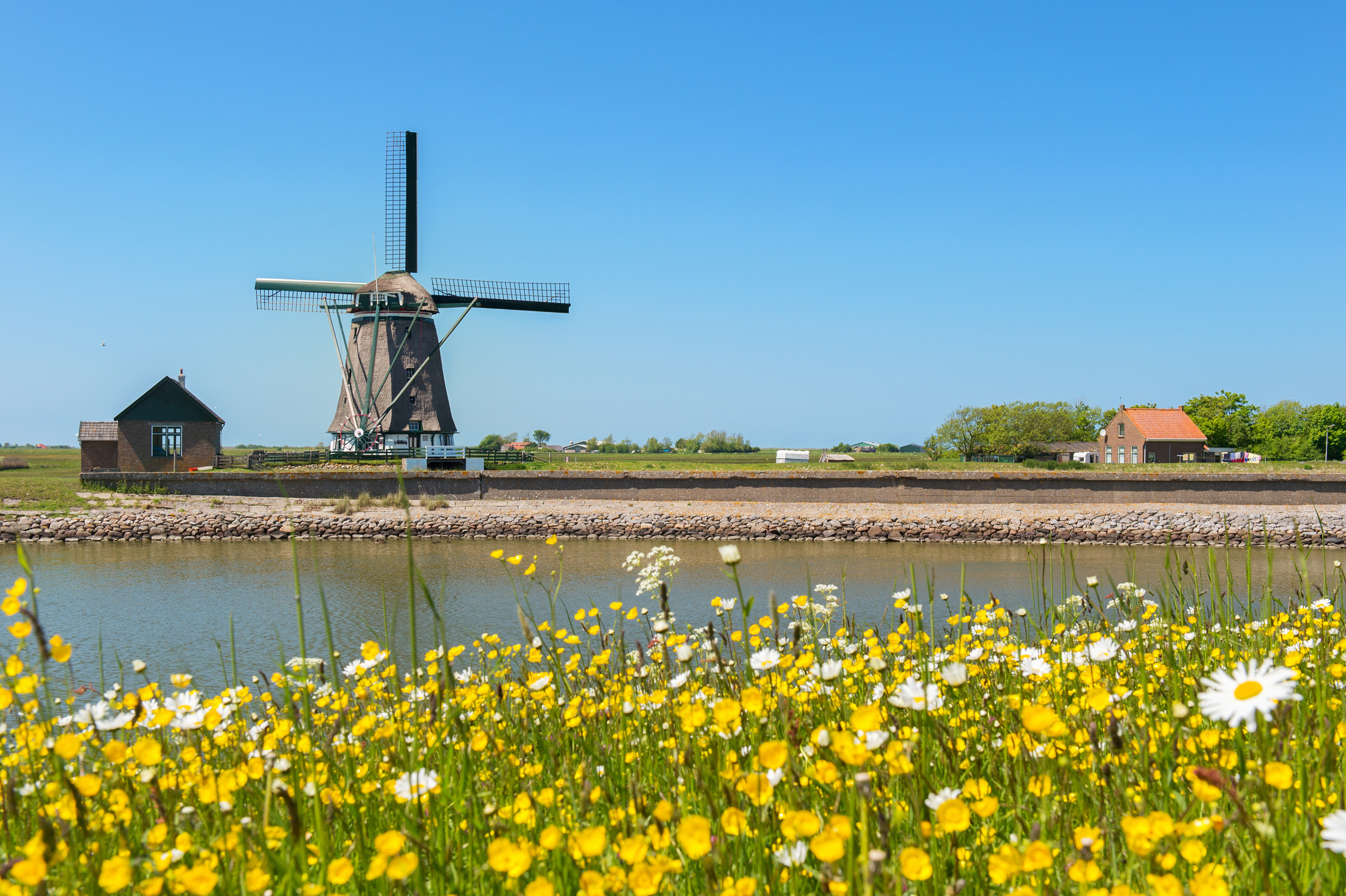 Texel