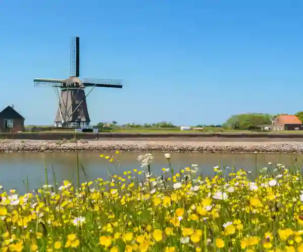 Texel