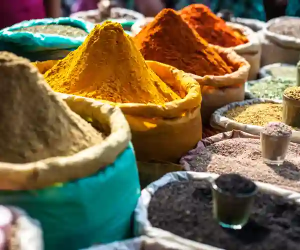 Friske krydderier i Delhi