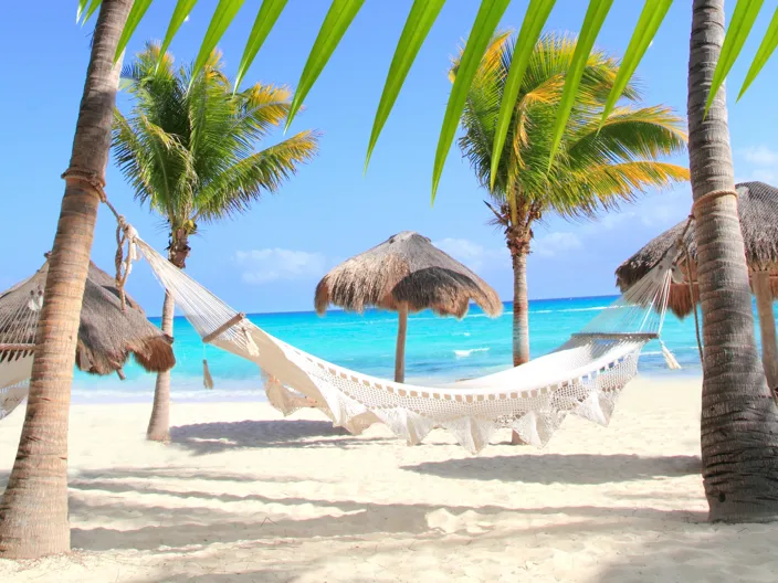 Hängmatta mellan palmer på vit strand med ljusblått hav