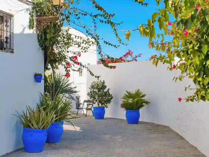 Vejer de la Frontera
