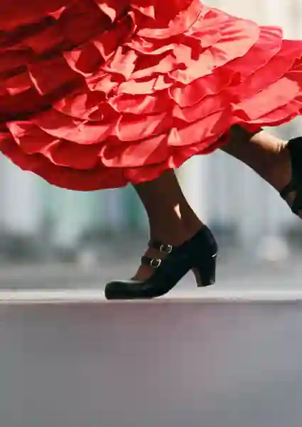 Flamencos fortryllende verden