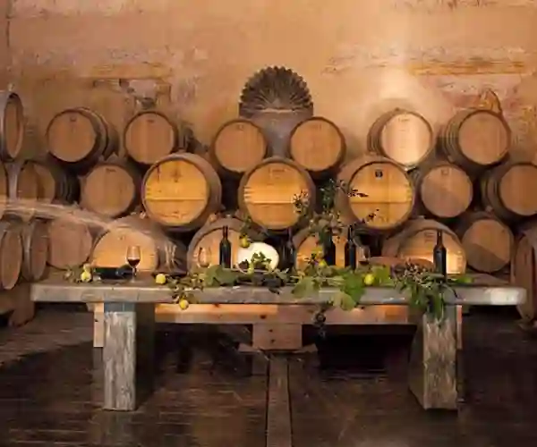 Finca Descalzos Viejos