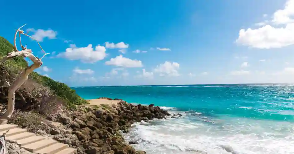 Trappsteg på berget ner till havet på Barbados