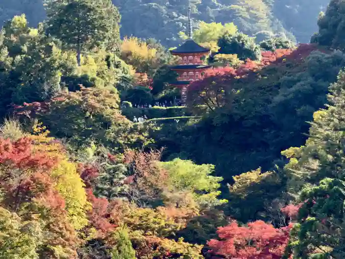 Kyoto