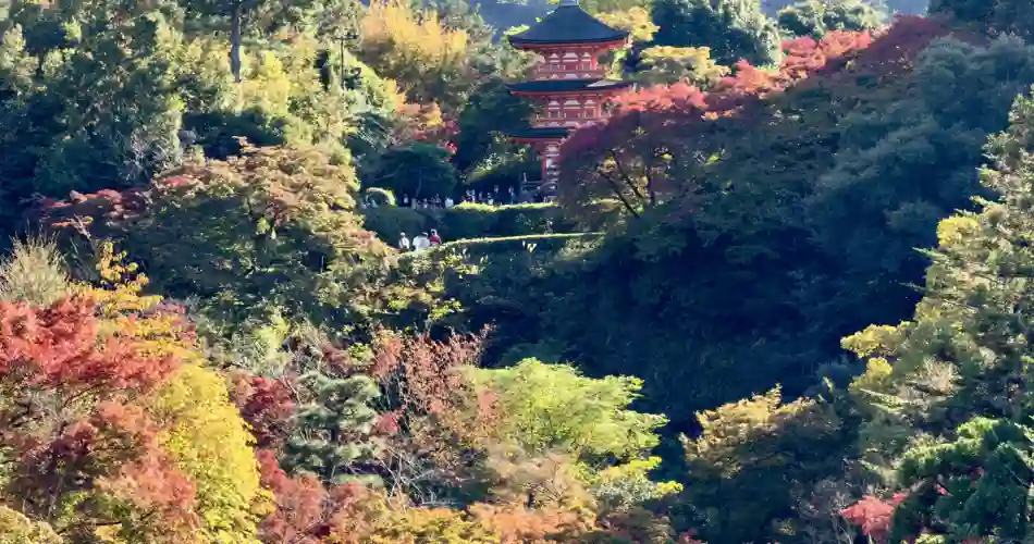 Kyoto