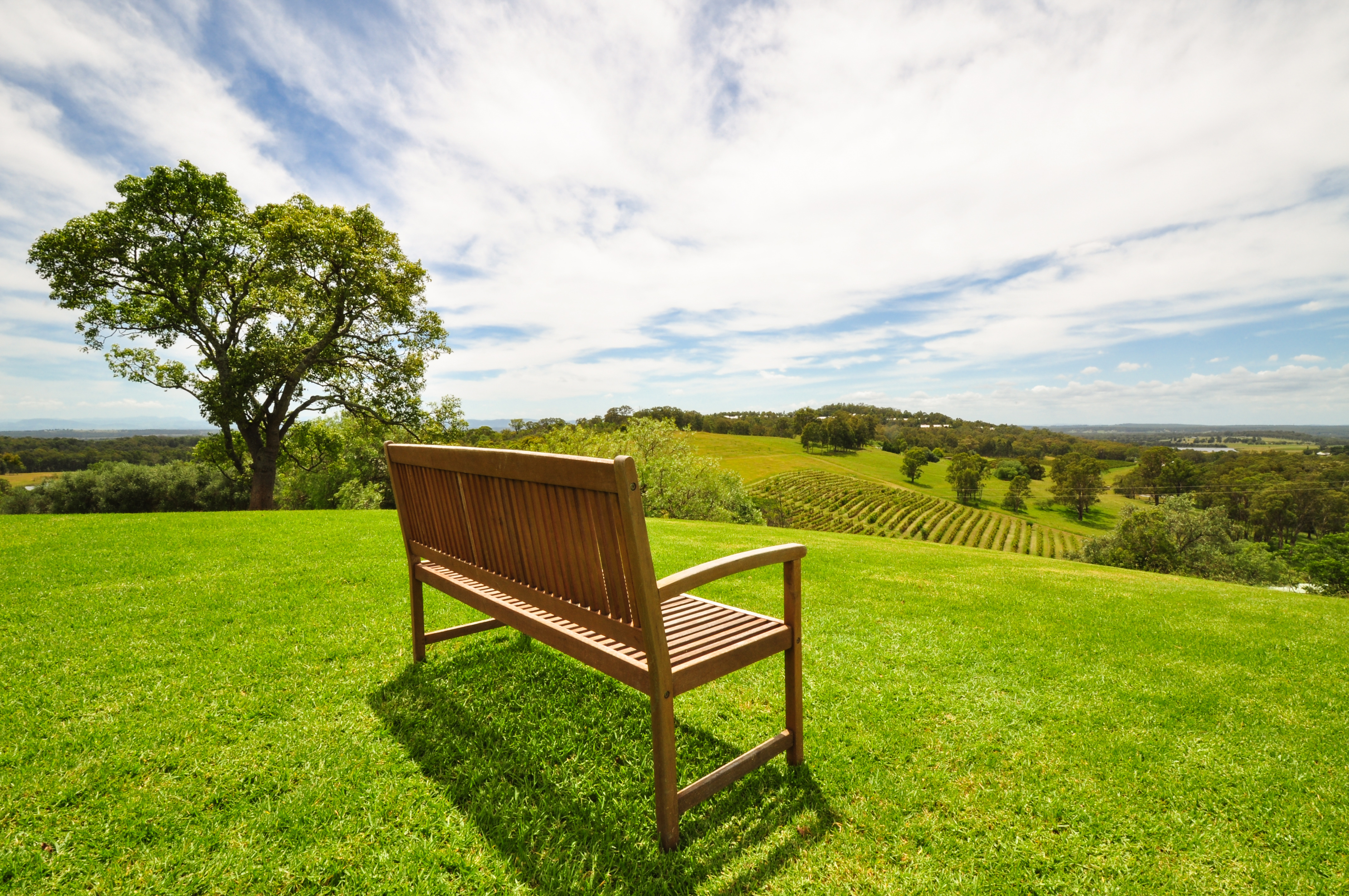 Det er skønt at bo midt i vinmarkerne