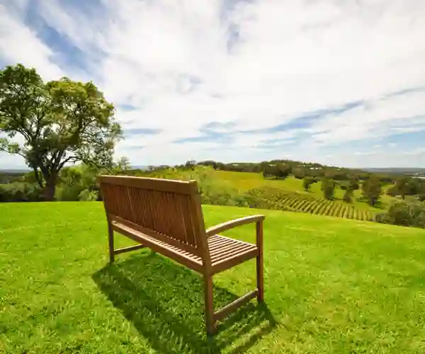 Det er skønt at bo midt i vinmarkerne