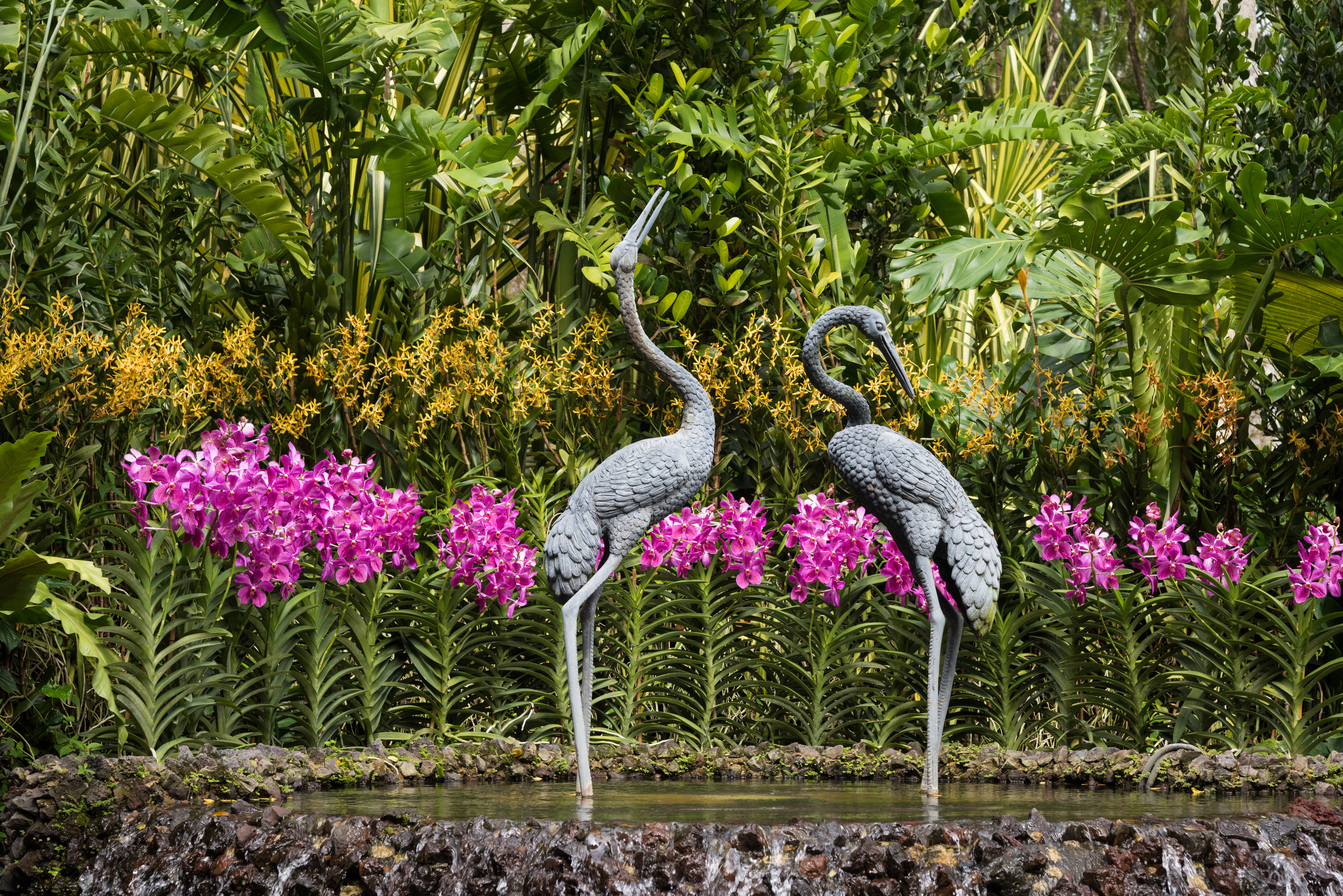 Singapores Botaniske Have