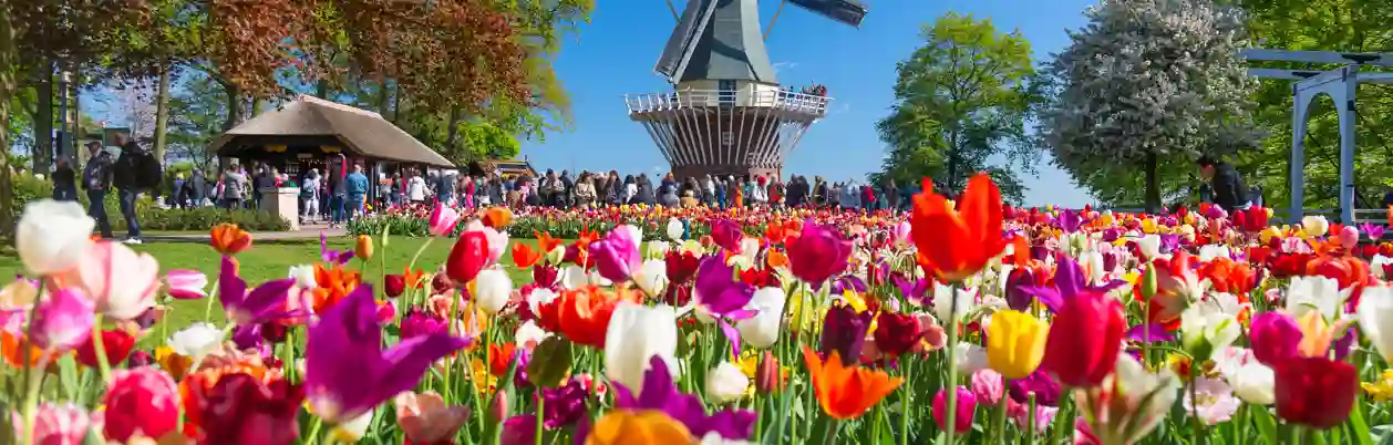 Keukenhof
