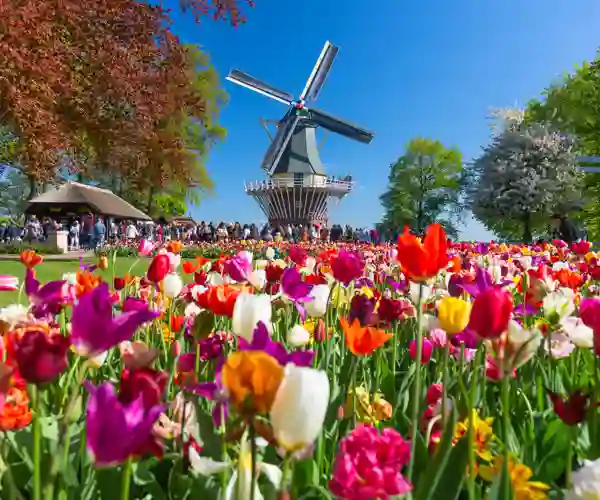 Keukenhof