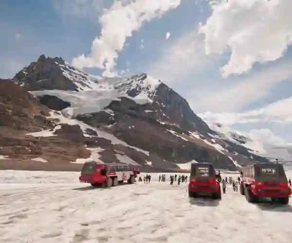 Athabasca Gletsjeren