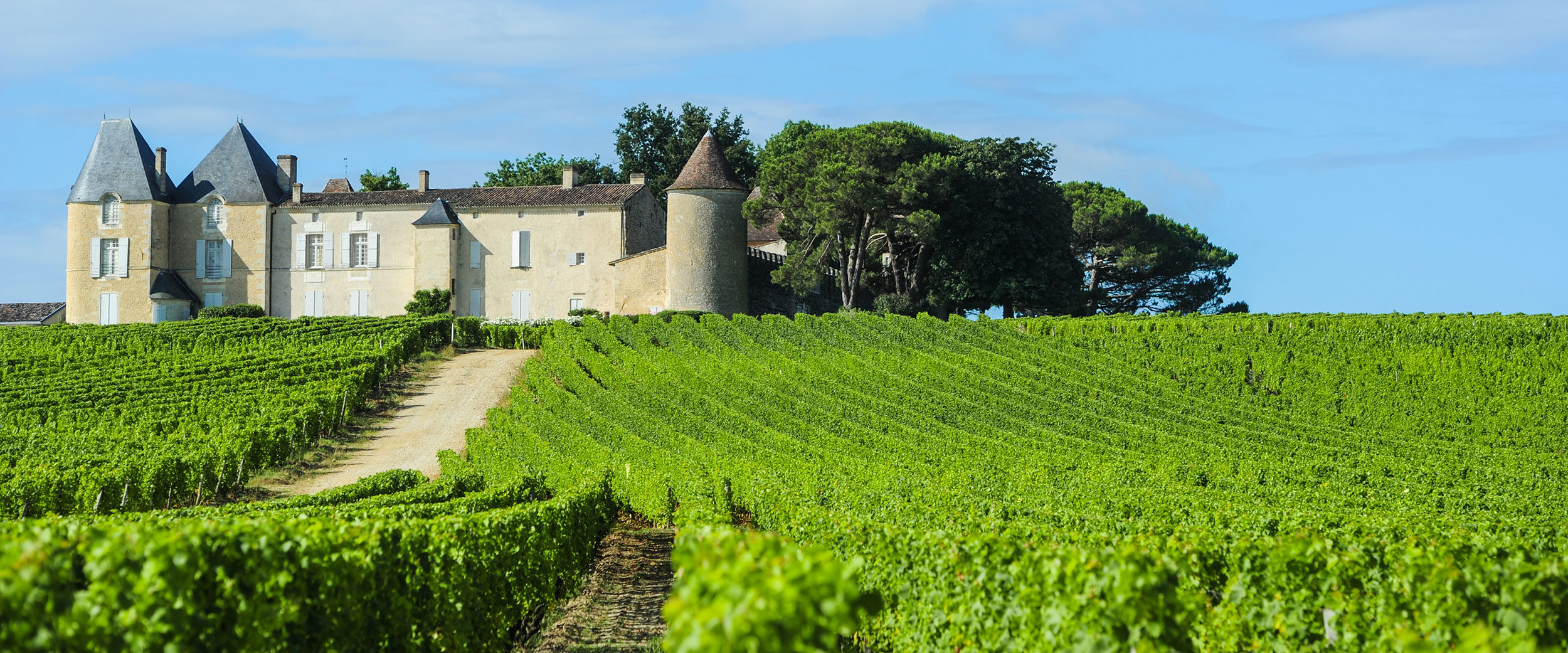 Vinmarkerne ved Château d'Yquem