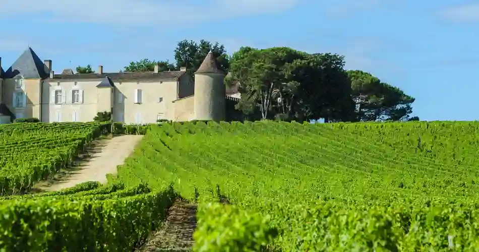 Vinmarkerne ved Château d'Yquem