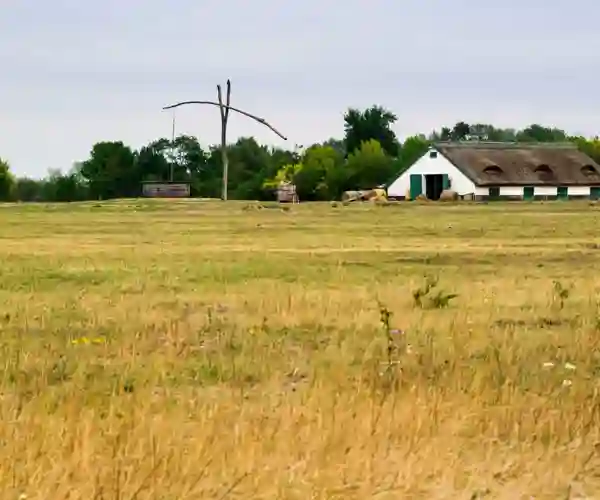 Pusztaen