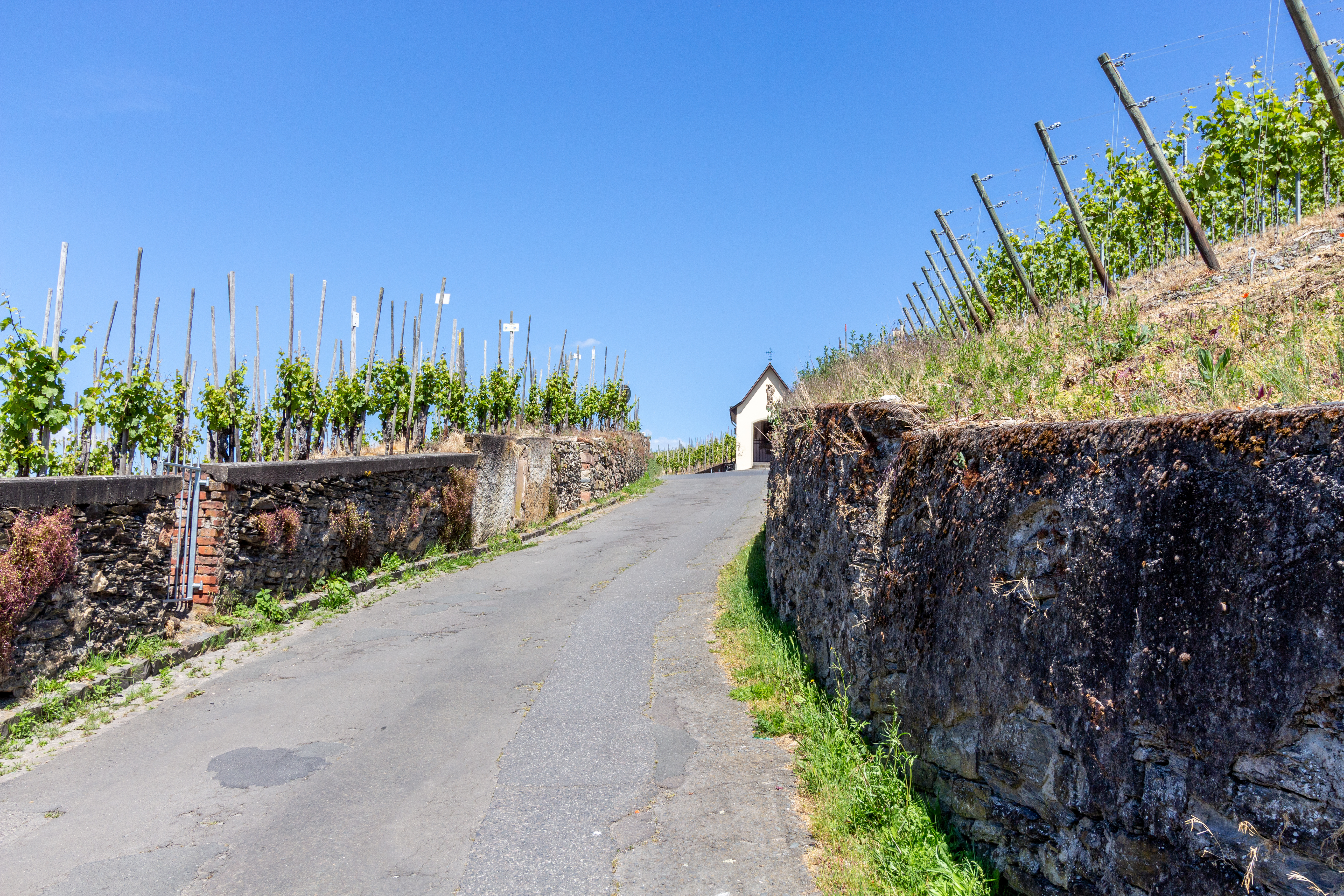 Cykelstier ved Mosel