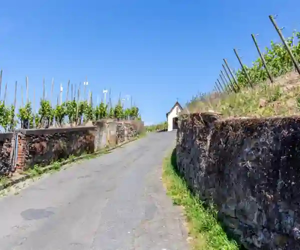 Cykelstier ved Mosel