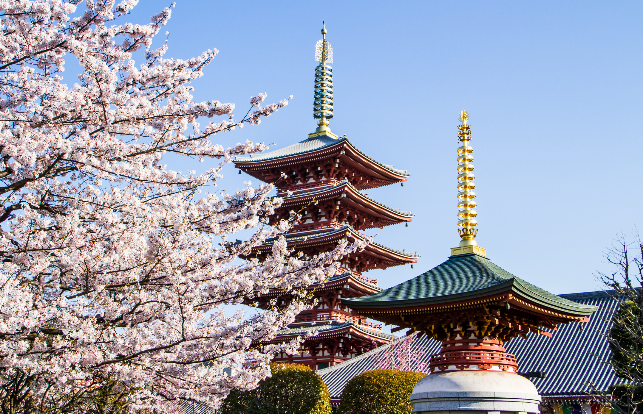 Asakusa Kannon