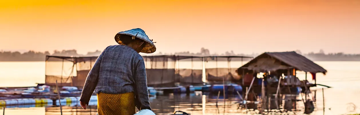 En lokal odlare vattnar sina grönsaker vid Mekongfloden i solnedgången.