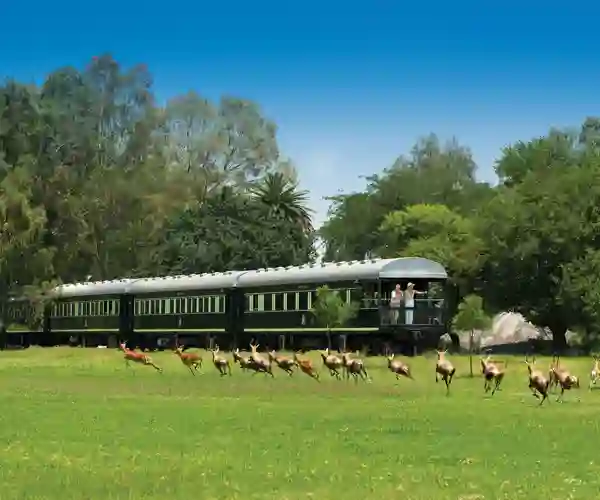 Rovos Rail