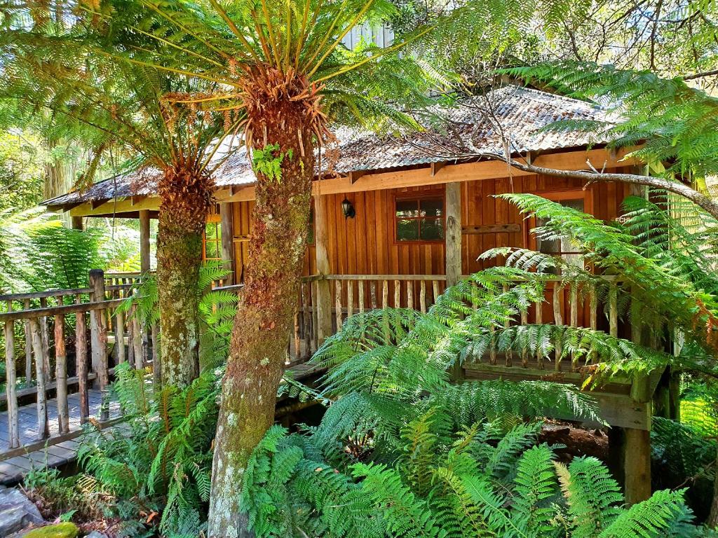 Lemonthyme Wilderness Retreat