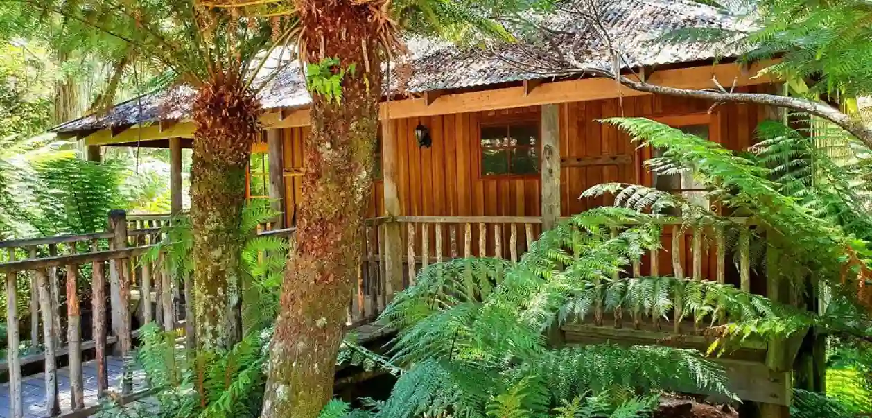 Lemonthyme Wilderness Retreat