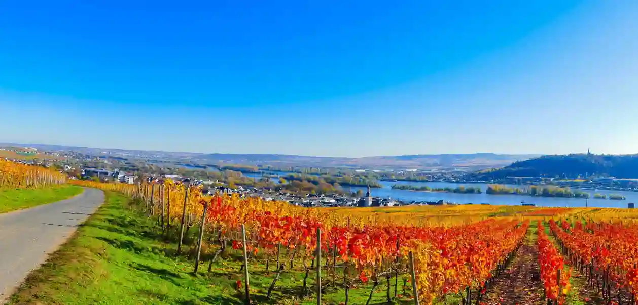 Rüdesheim i høstfarger