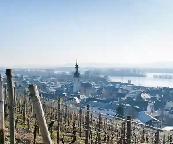 Rüdesheim