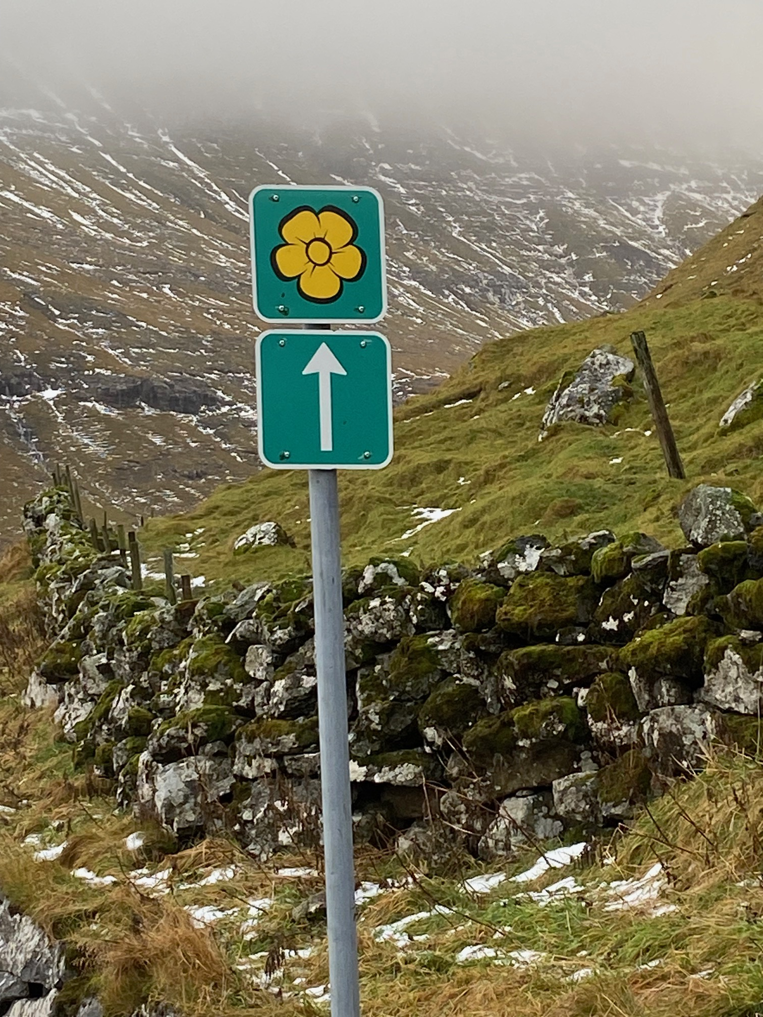 Privat Foto Fra Kirsten, Engkabbeleje 