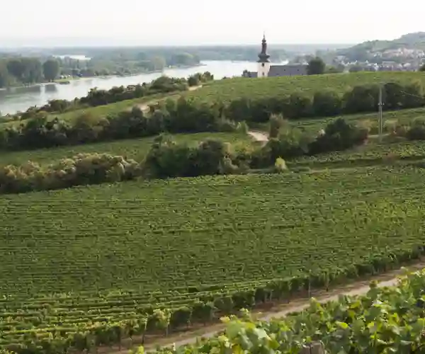 Nierstein