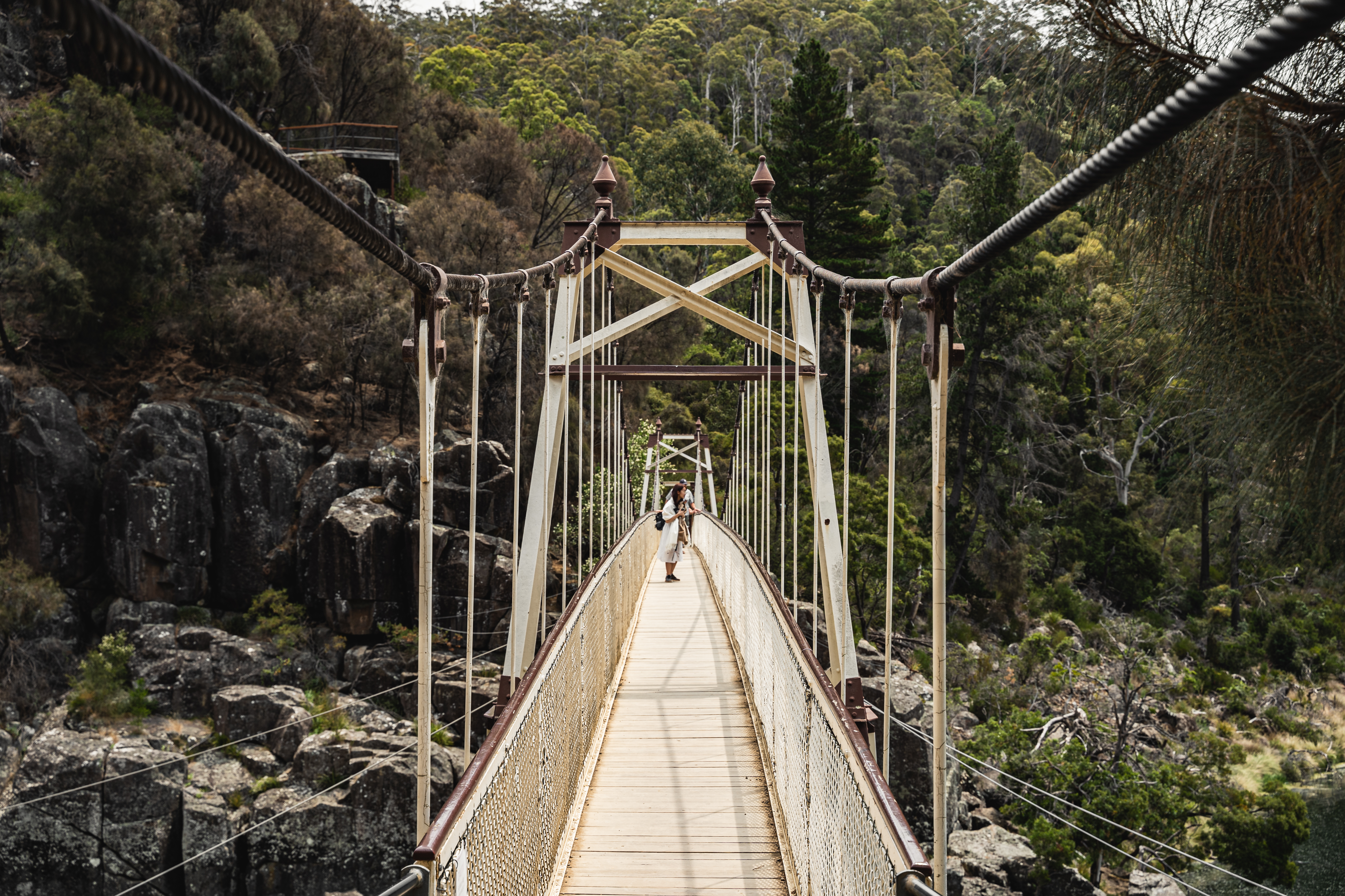 Hængebroen Alexandra Suspension Bridge