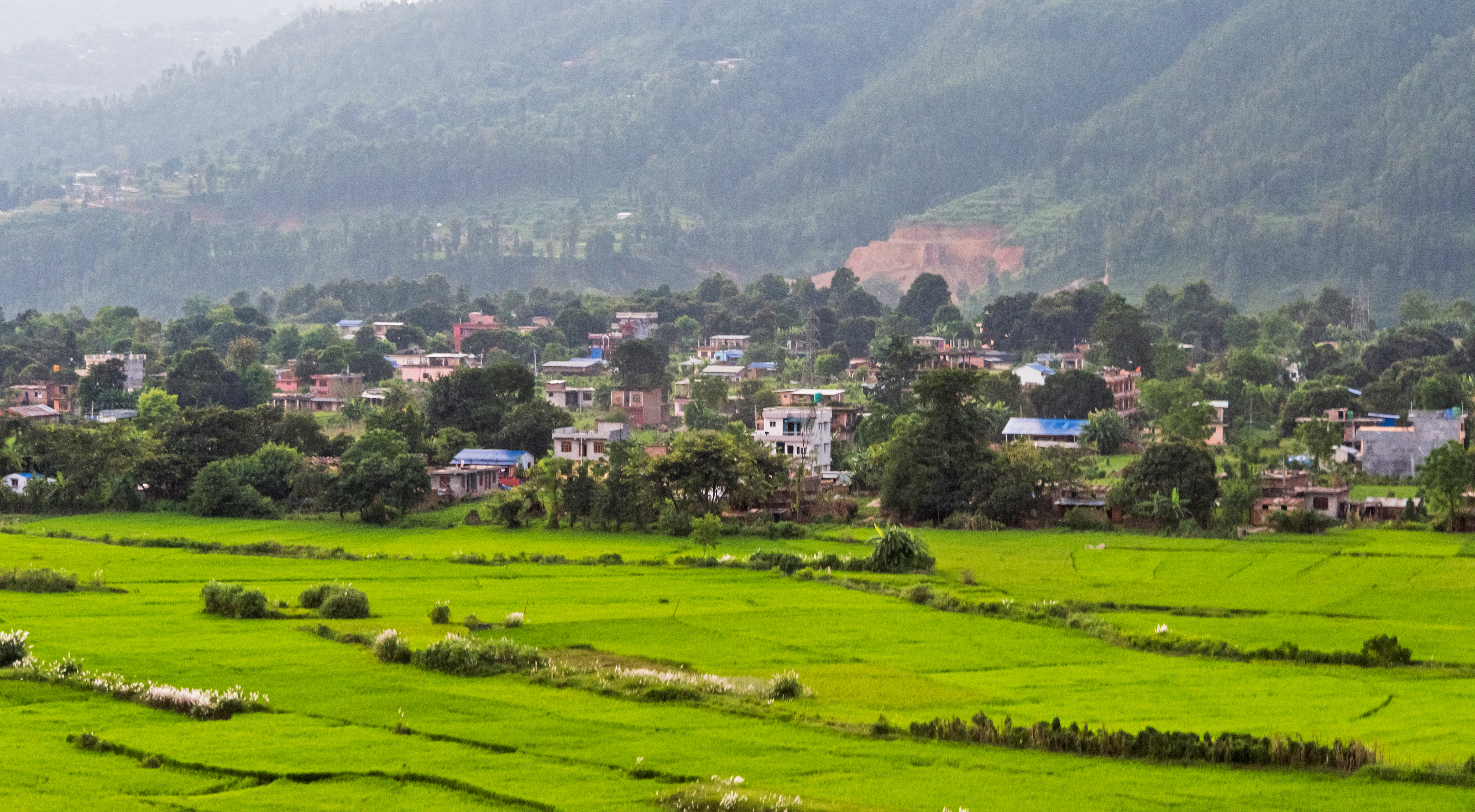 RIsåkre i Nuwakot-distriktet