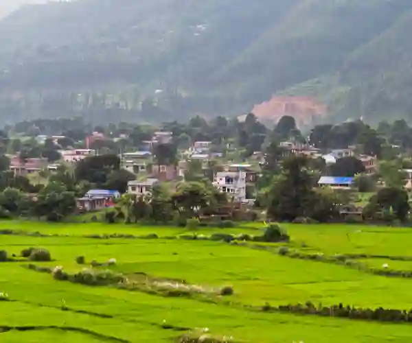 RIsåkre i Nuwakot-distriktet