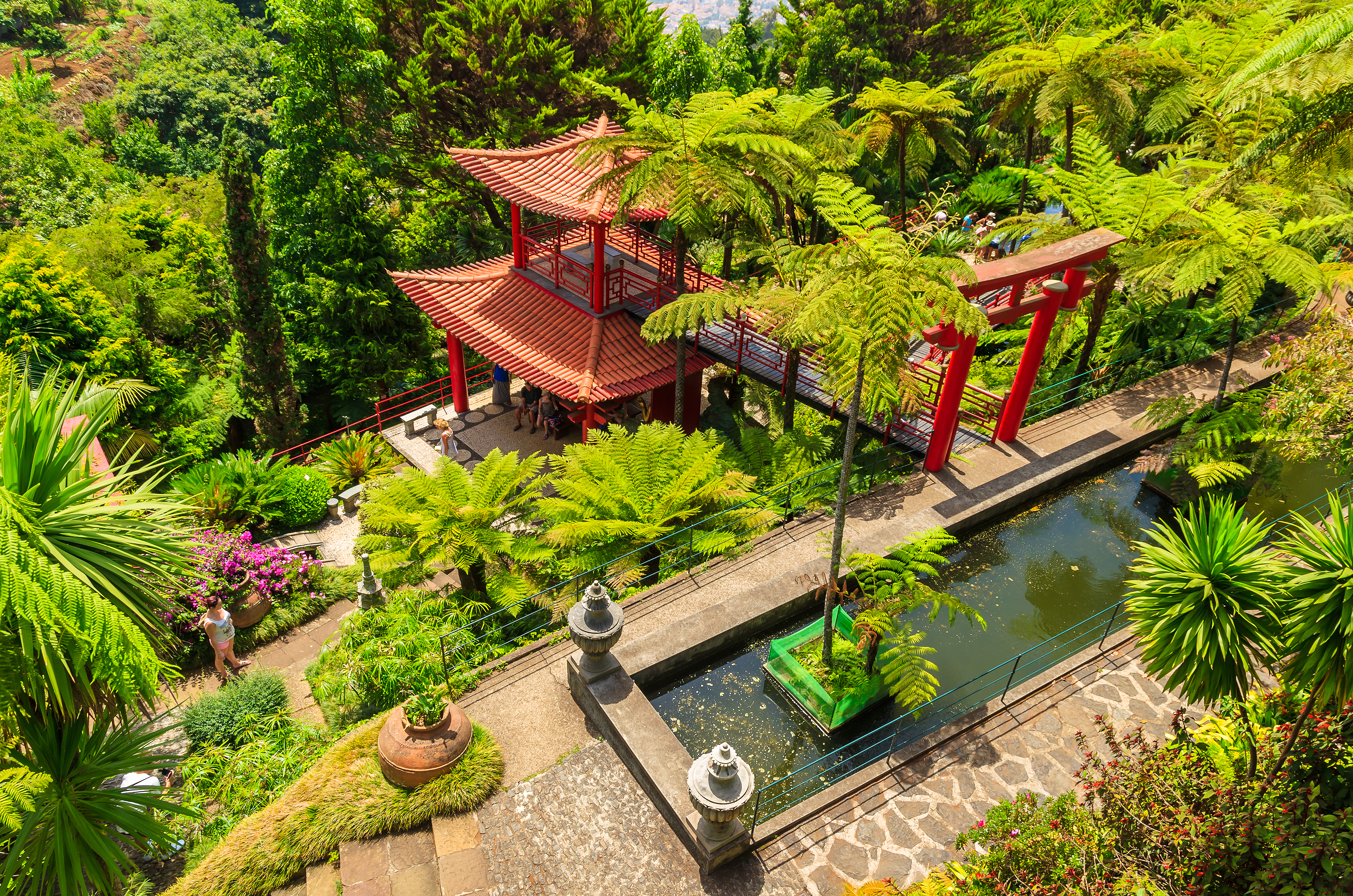 Den tropiske hagen i Monte