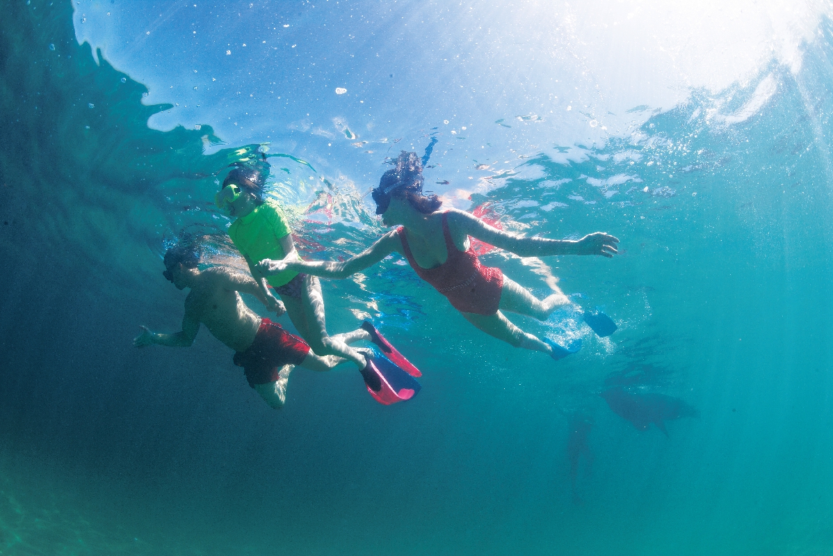 Familj som snorklar hand i hand i Mexiko.